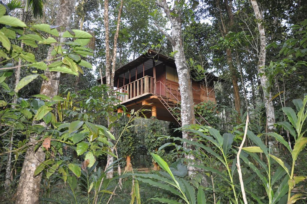 Sunbird Garden Resort Krishnagiri Bilik gambar