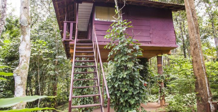 Sunbird Garden Resort Krishnagiri Luaran gambar